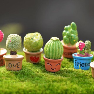 Chậu xương rồng sen đá cỡ vừa - Tiểu cảnh Terrarium