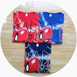 Bộ Siêu Nhân Nhện có cánh