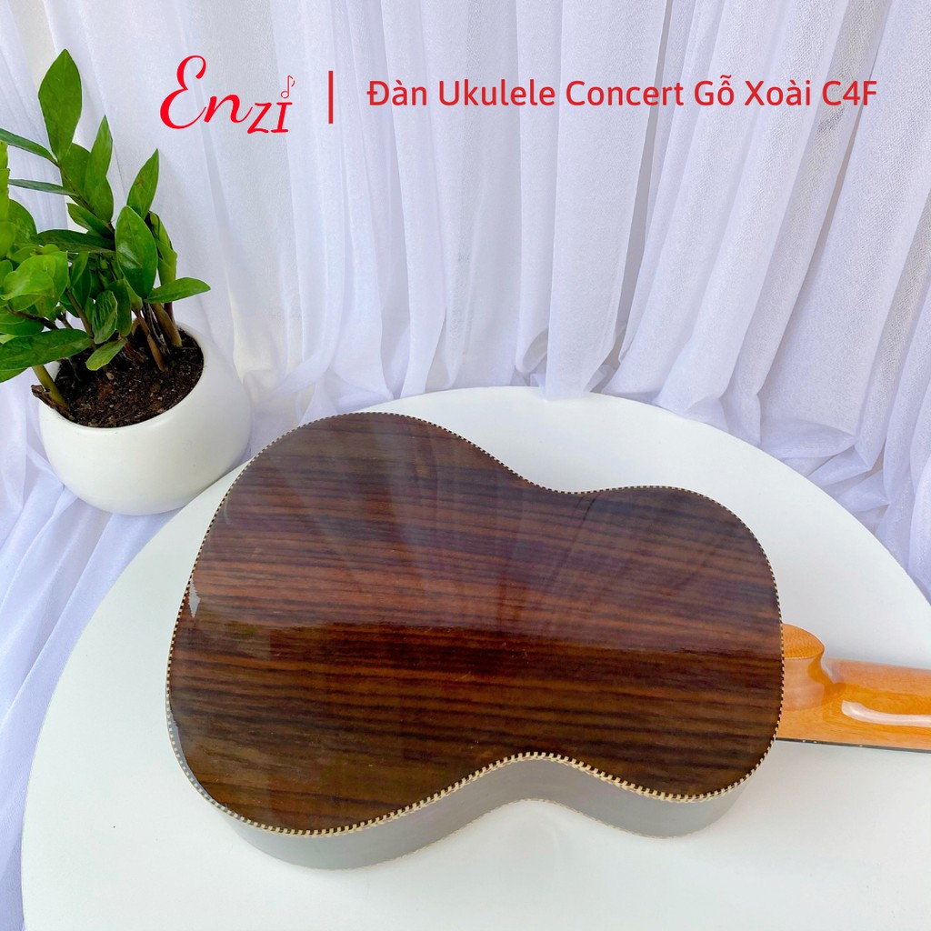 Đàn ukulele concert Mã C4F size 23 inch gỗ dáng khóa classic cổ điển giá rẻ chất lượng tốt Enzi