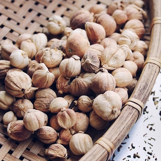 Bạch đậu khấu trắng làm gia vị nấu phở, lẩu cay Tứ Xuyên
