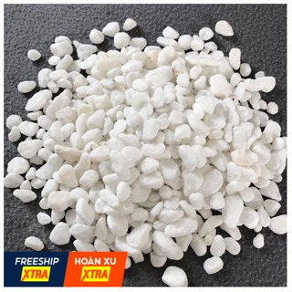 1Kg Đá, Sỏi Trắng, Trang Trí Hồ Cá Cảnh, Bể Cá Cảnh, Hồ Thủy Sinh