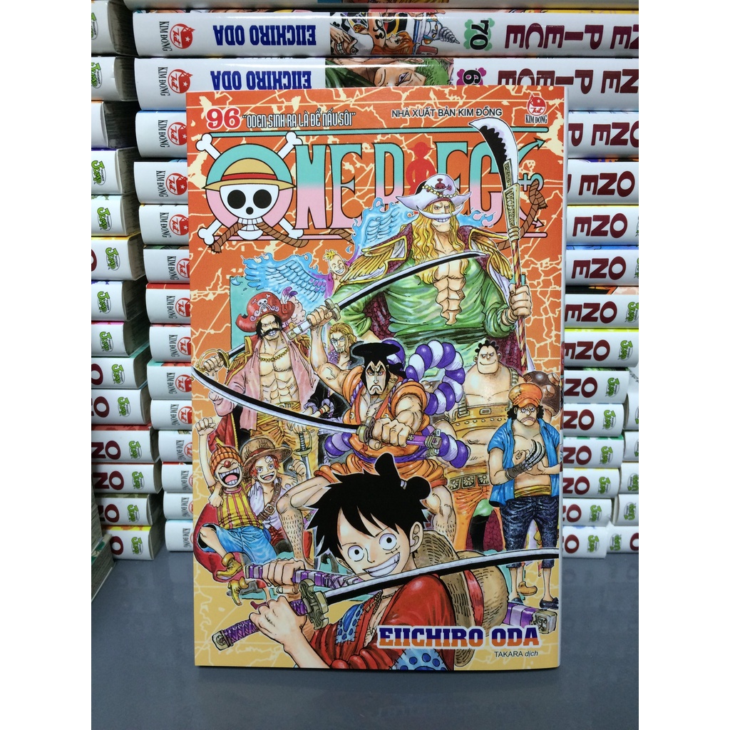 One Piece 96