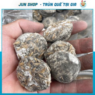 [ 10 Cái Men ] Men Thuốc Bắc Ủ Gạo Nếp, Tẻ Làm Cơm Rượu, Men Nấu Rượu Làm Tại Nhà