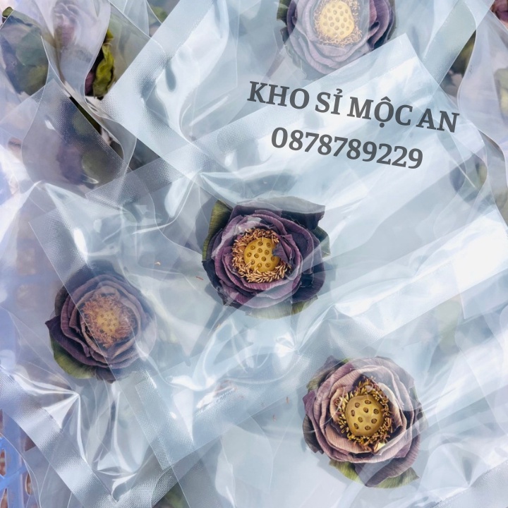 Gói 1 Bông Trà Hoa Sen Sấy Lạnh Nguyên Bông Sa Đéc Hàng Loại 1, Trà Bông Sen Giúp Thư Thái, Ngủ Ngon