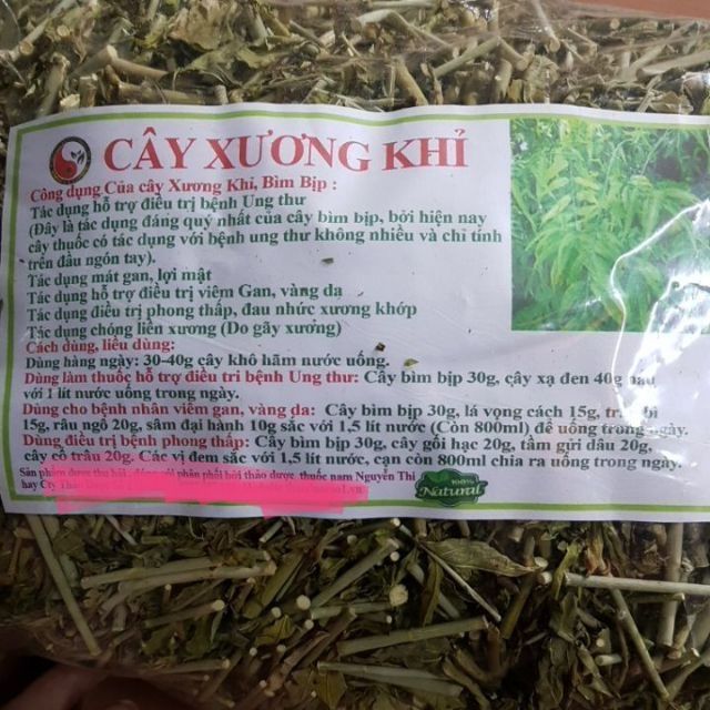 Cây xương khỉ