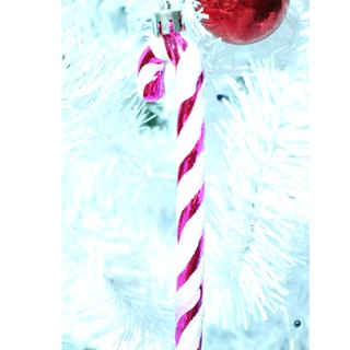 Phụ kiện trang tri Noel- Cây kẹo treo 45k/hộp 6pcs