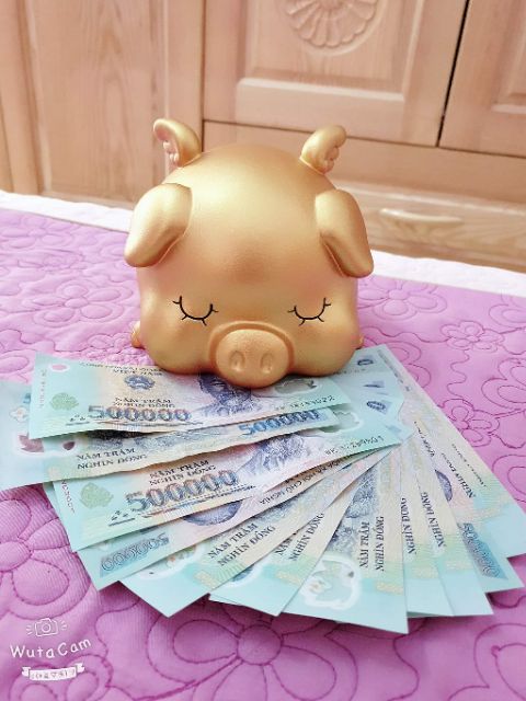 LỢN ĐẤT CÁNH TIÊN | BigBuy360 - bigbuy360.vn