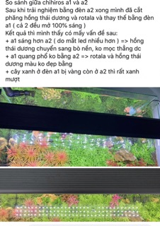 ĐÈN CHIHIROS A 2 -VERSION 2