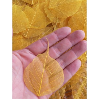 Combo 100 Lá Bồ Đề dát vàng ốp điện thoại