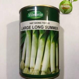 HẠT GIỐNG TỎI TÂY PHÁP LARGE LONG SUMMER (hộp 100gr)