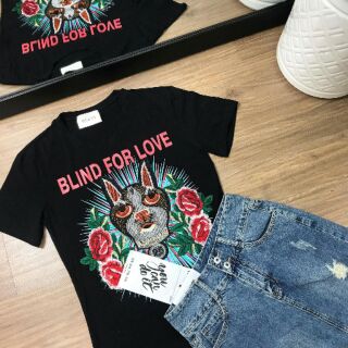 Áo Chó Gucci