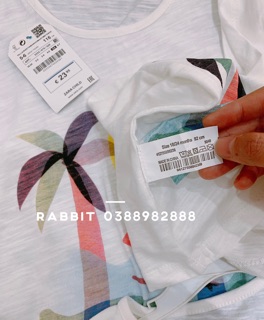 Áo thun Zara trắng hình cây dừa