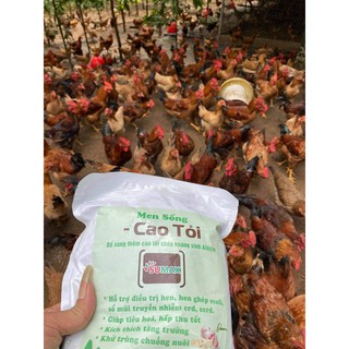 men cao tỏi sumax - thuốc thú y