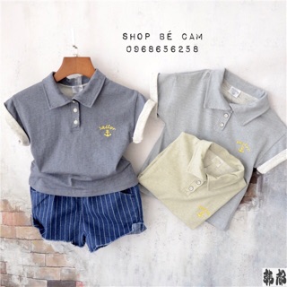 Áo phông cổ bé cho bé