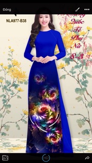 Lụa latinh( lụa pháp )in3d