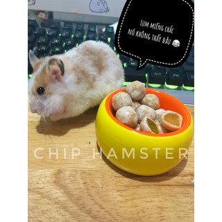 Kẹo Trái Cây [HAMSTER]