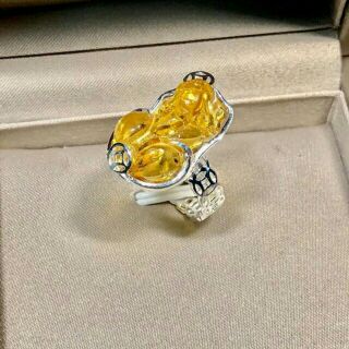 Nhẫn tỳ hưu kim tiền bạc