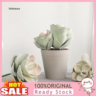 Sen đá giả mini dùng để trang trí nội thất / cây kiểng