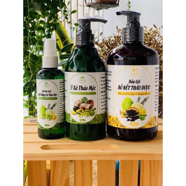 Dầu gội bồ kết cô đặc, Dầu gội thảo dược Handmade,Sạch gàu giảm rụng tóc Chai 500ml - Goss VIệt | BigBuy360 - bigbuy360.vn