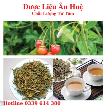 Cà Gai Leo Hàng Loại 1 [ Cam Kết Xạch Thơm Mới ] Bảo vệ lá gan của bạn hàng ngày hiệu quả 1KG