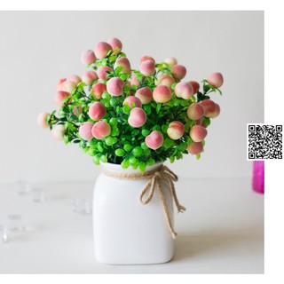 Chậu mini TRÁI ĐÀO TIÊN 18 QUẢ CÂY GIẢ 485