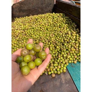 🌿 Combo Gội ủ xả Thảo Dược🍃