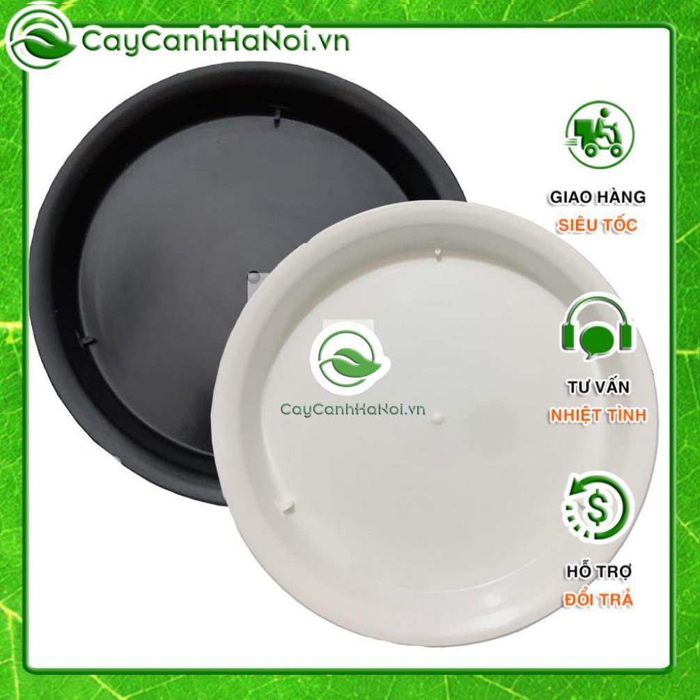 Đĩa lót chậu nhựa size 40cm và 50cm khay đế chậu nhựa hình tròn, nhựa dày bền đẹp nhiều kích thước 🌱