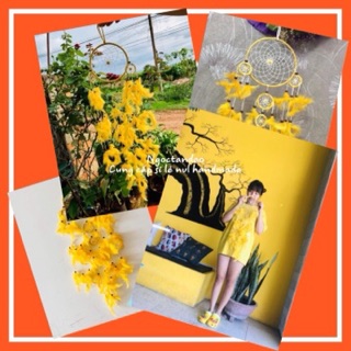 [rẻ vô địch] vòng dreamcatcher