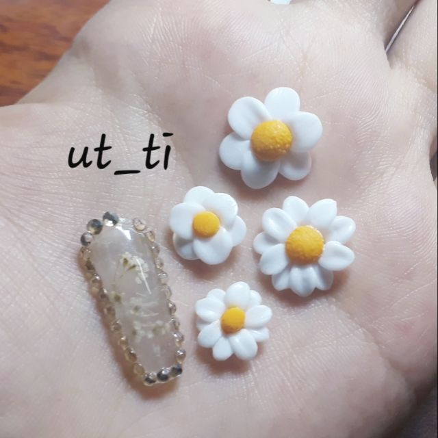 Hoa cúc nail