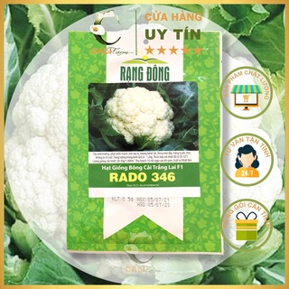 Hạt giống bông cải trắng rado 346 dễ trồng, chịu nhiệt 0.5gr