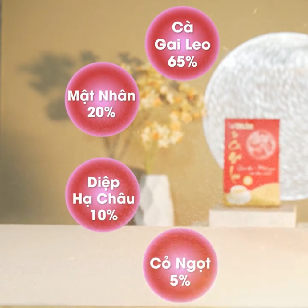 Trà cà gai leo Mộc CAn giúp bổ gan mát gan hỗ trợ làm giảm sơ gan, thanh lọc, đẹp da, giảm cân, detox