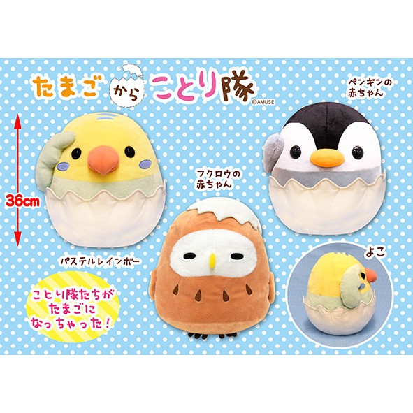 Tamago Kara Kotori Tai Chim Chính Hãng Gấu Bông Nhật Amuse Authentic