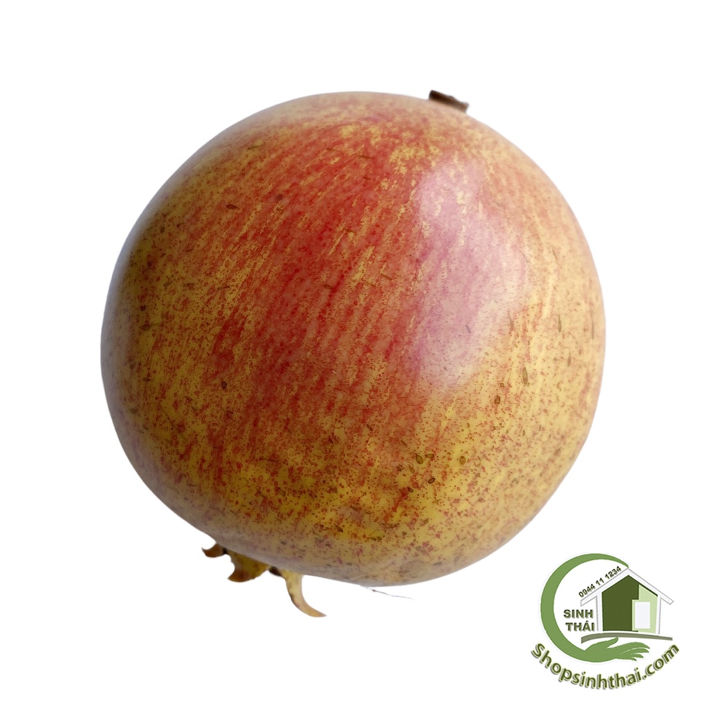 Trái lựu giả - trái cây giả cao cấp