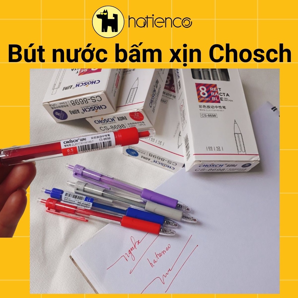 Hộp 12 bút mực tím, bút mực xanh loại bấm xịn hiệu Chosch