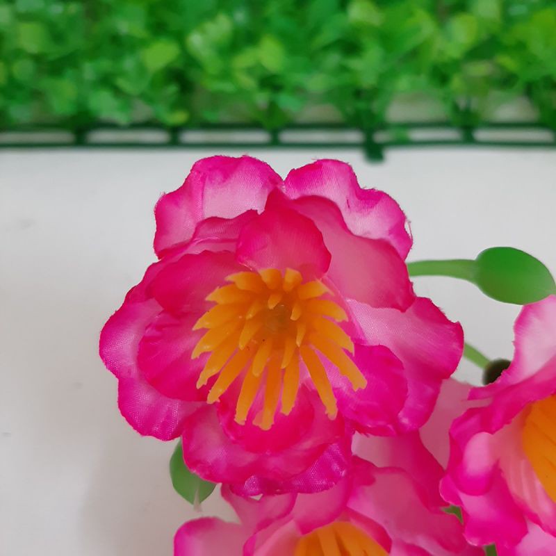 1 bịch hoa mai,hoa đào