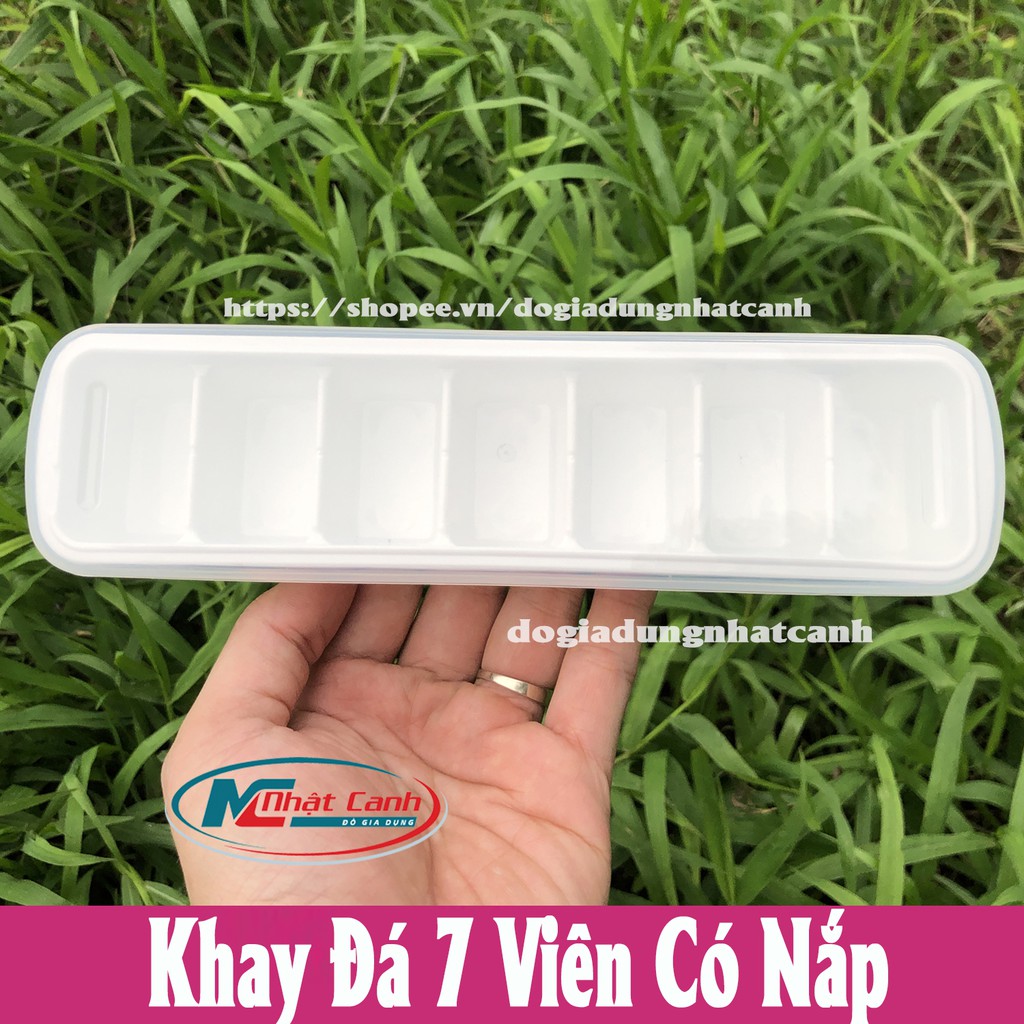 Khay làm đá viên to, viên nhỏ bằng nhựa có nắp và không nắp bền đẹp | BigBuy360 - bigbuy360.vn