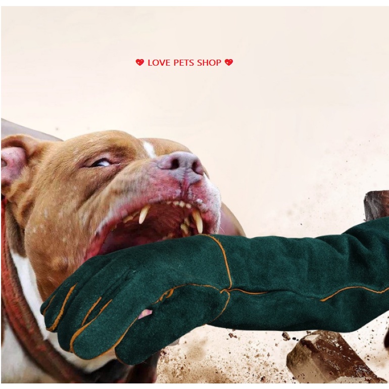 GĂNG TAY CHỐNG CẮN BẮT THÚ CƯNG, BÒ SÁT (GỒM 2 CHIẾC TRÁI PHẢI) -  LOVE PETS SHOP