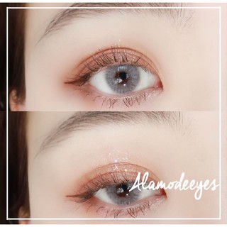 Lens xám sữa áp tròng [Có cận]