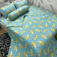 Set 5 món chăn hè ga gối