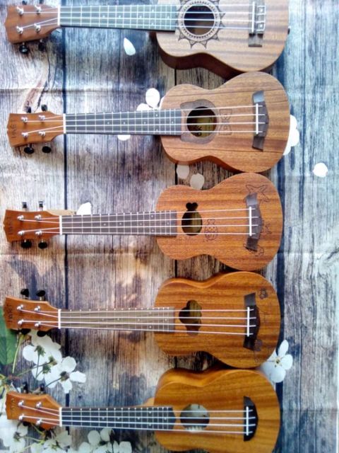 Đàn ukulele