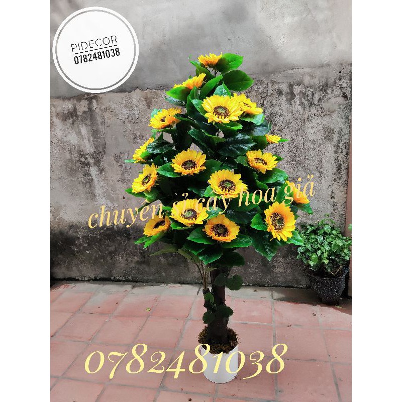 Cây Hoa Hướng Dương trang trí Decor cao 1m6- PiDecor
