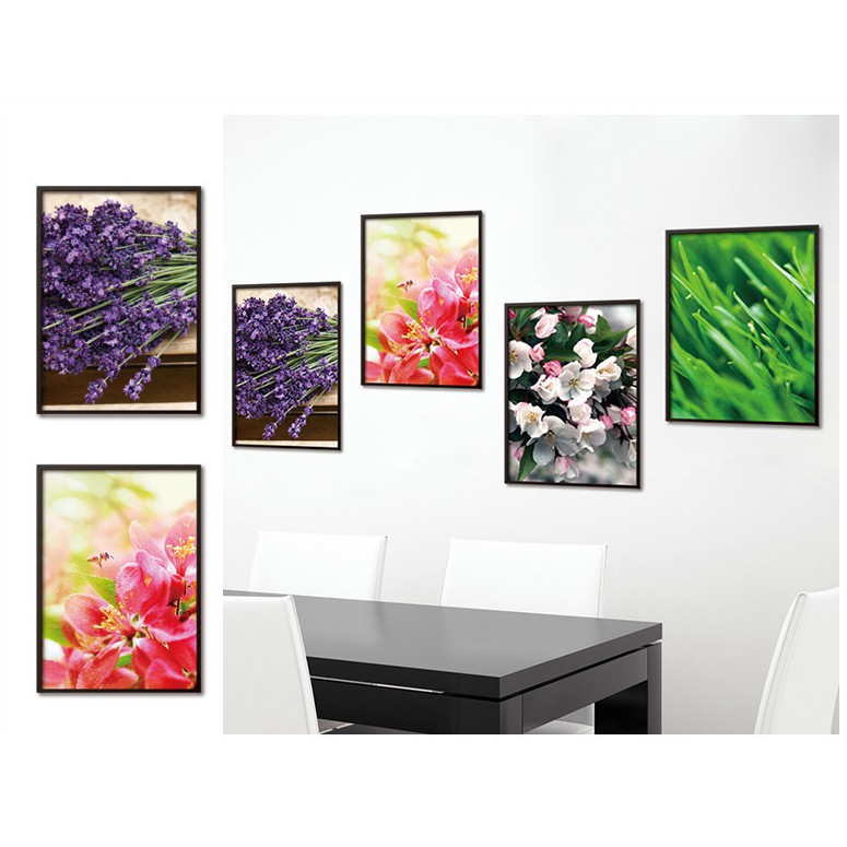 Decal Khung ảnh 3D