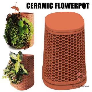 Chậu Gốm Trồng Cây Trong Nhà
