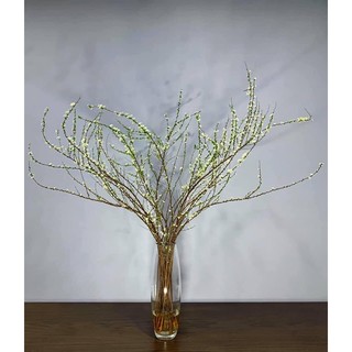 Lọ thủy tinh cắm hoa dáng trụ búp - có nhiều kích thước để lựa chọn