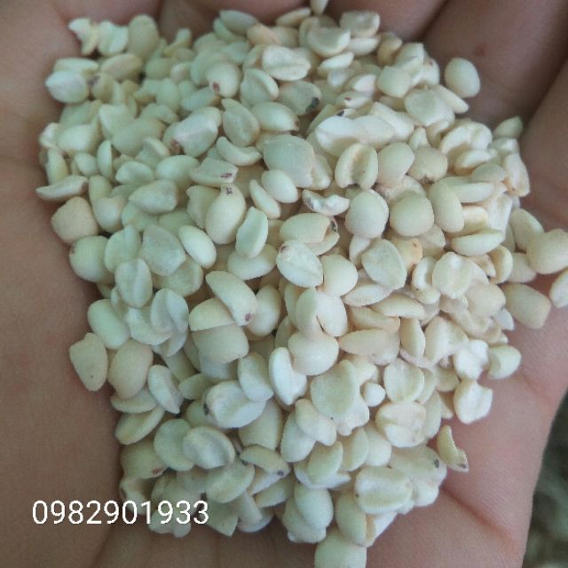 hạt bo bo (ý dĩ) dùng nấu chè sâm bổ lượng hiệu Thiên Long | BigBuy360 - bigbuy360.vn