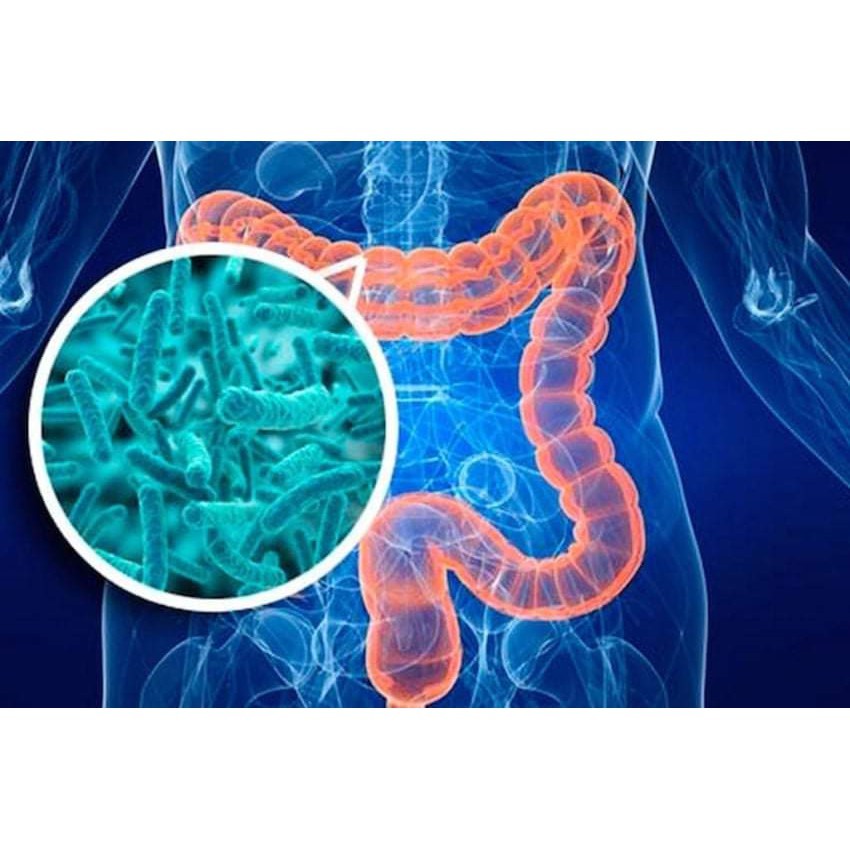 Men Probiotics Alive Plus,Hỗ Trợ Cải Thiện Vi Sinh Đường Ruột,Hỗ Trợ Viêm Đại Tràng