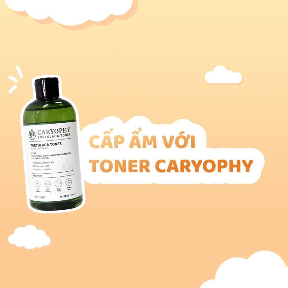 Combo 2 Sản Phẩm Làm Sach Da và Giảm Mụn Caryophy (Tẩy Tế bào chết 250ml - Nước Hoa Hồng 300ml)