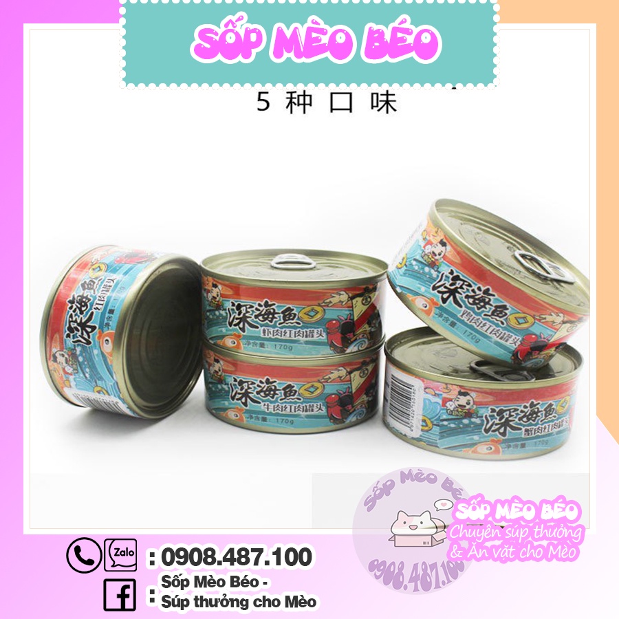 Lon thịt tôm,gà 170gr dạng thạch cho Mèo