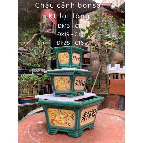 Chậu lục giác trồng cây bonsai chậu đồng nai chậu cảnh bonsai