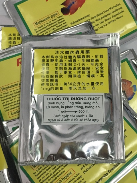 Sình bụng phân trắng lủng đầu lở mình cho cá